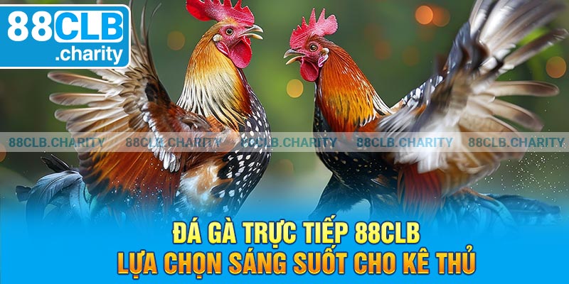 Đá Gà Trực Tiếp 88clb - Lựa Chọn Sáng Suốt Cho Kê Thủ